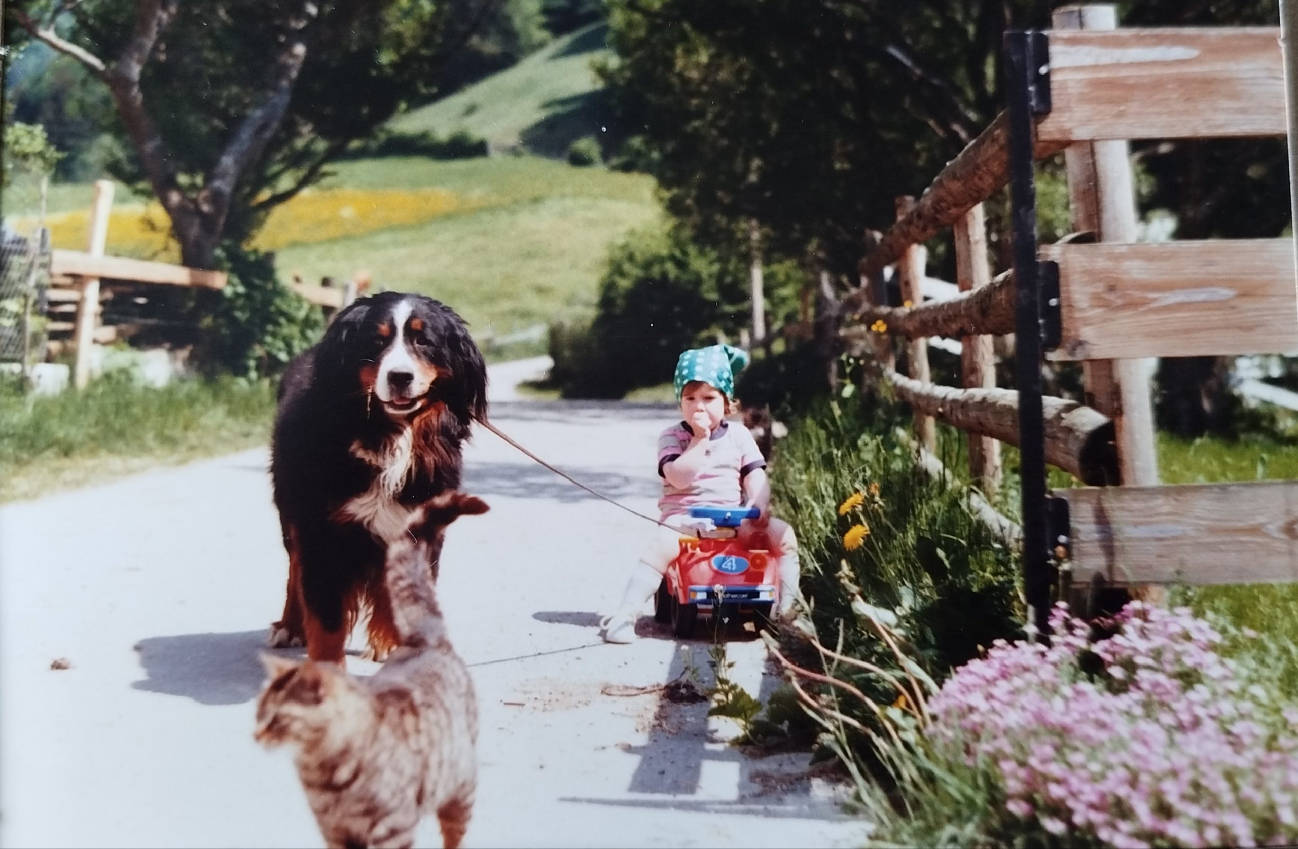 Enfance-heureuse-Souboz Vie heureuse Jura-Bernois