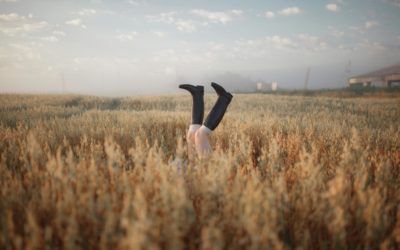 Riches récoltes d’automne et bilan d’un été