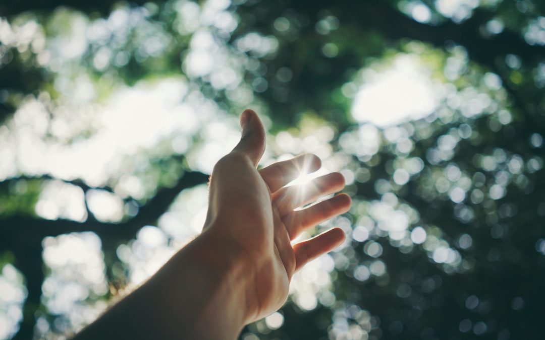 Ce qui a germé dans le silence