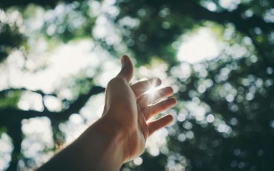 Ce qui a germé dans le silence