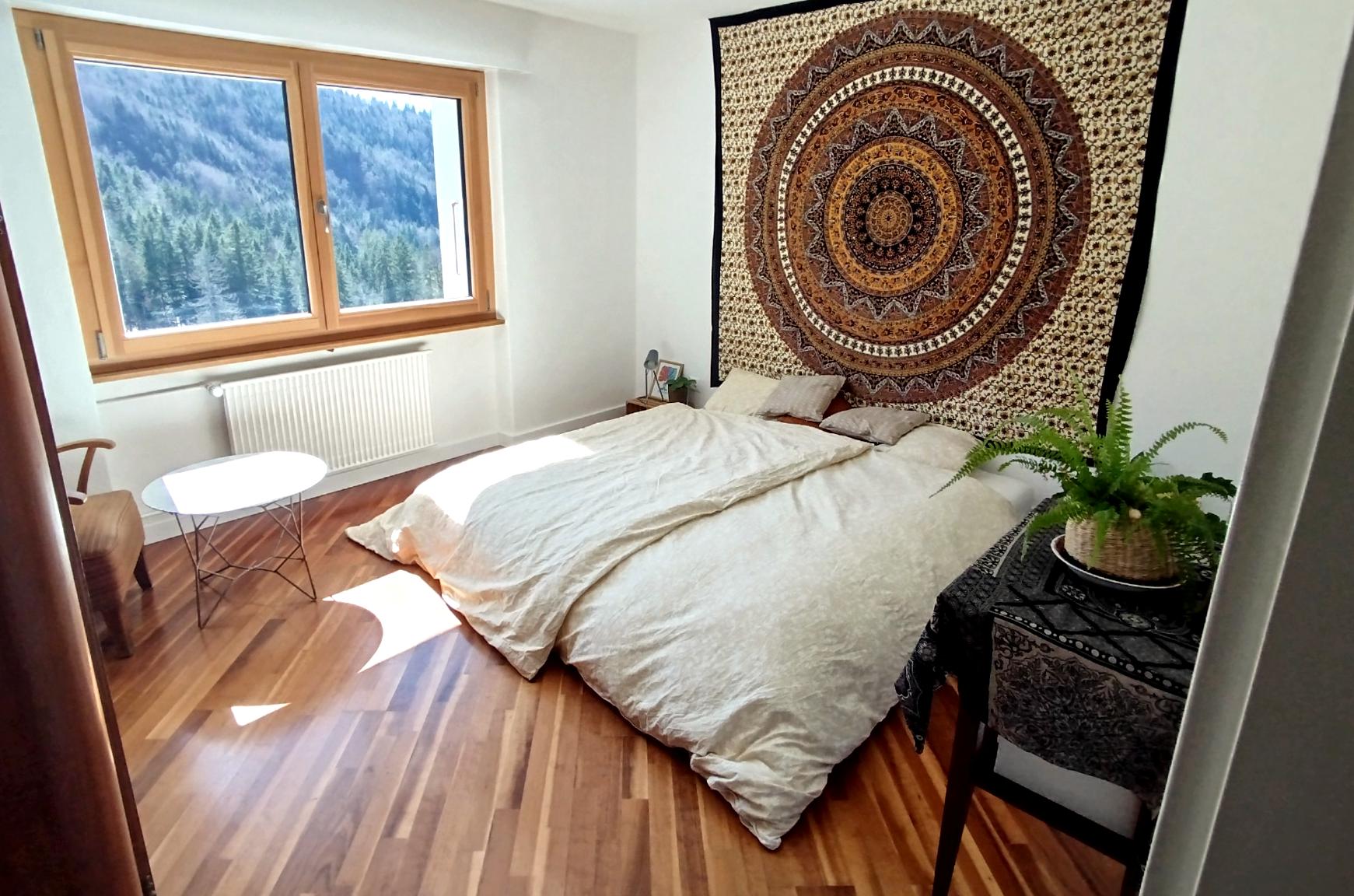 Return to essential swizterland