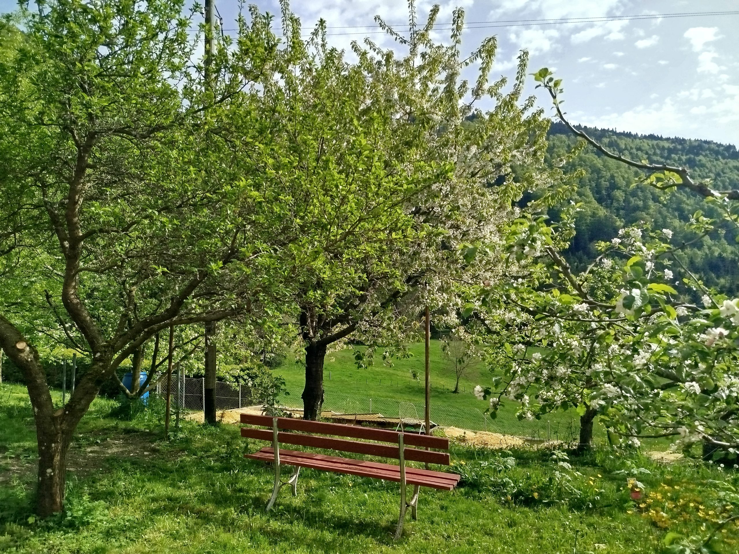 Se ressourcer Jura