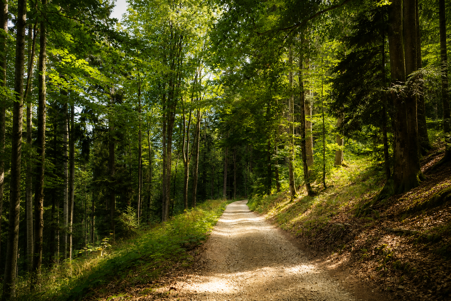 séjour déconnexion suisse romande